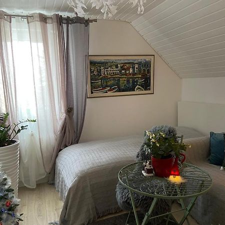 Ferienwohnung Pension Am Berg Villingen-Schwenningen Εξωτερικό φωτογραφία