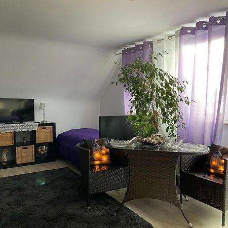 Ferienwohnung Pension Am Berg Villingen-Schwenningen Εξωτερικό φωτογραφία